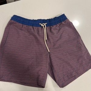 Fair harbor bayberry swim trunks in Large